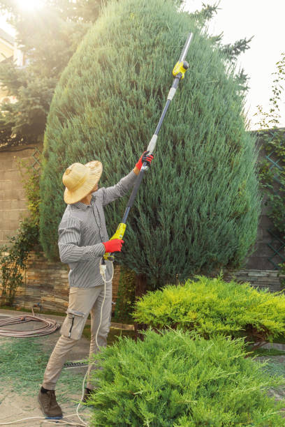 Reliable Tool, TX Tree Removal Solutions